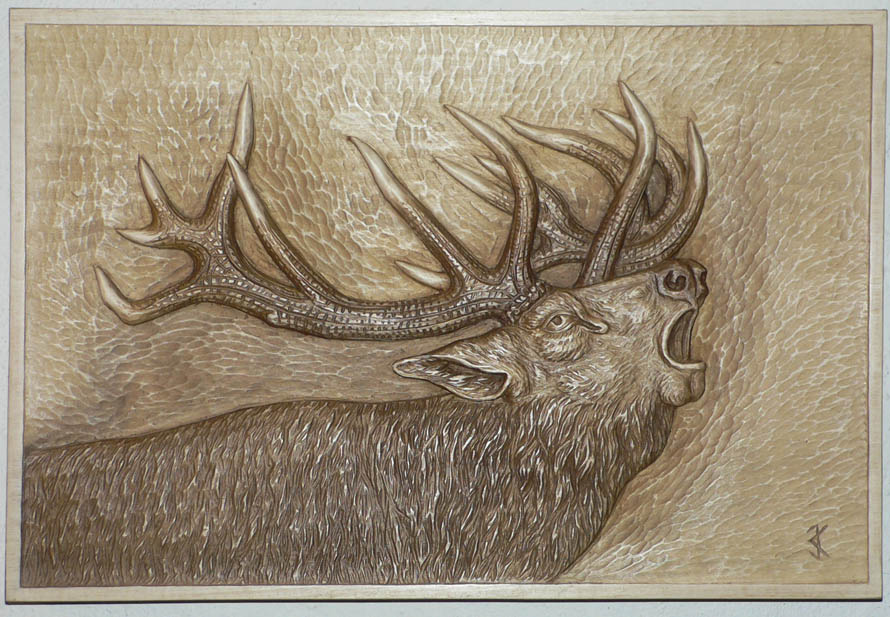 jelen troubící  50x33cm